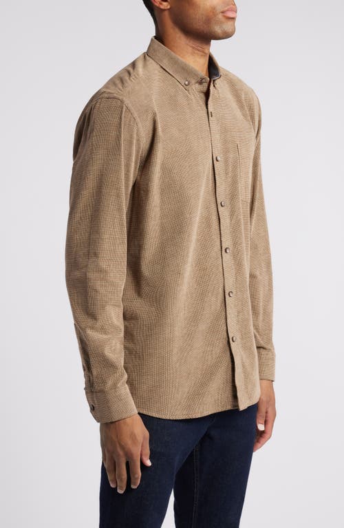 Johnston & Murphy Fine Wale Corduroy Button-down Shirt In Brown