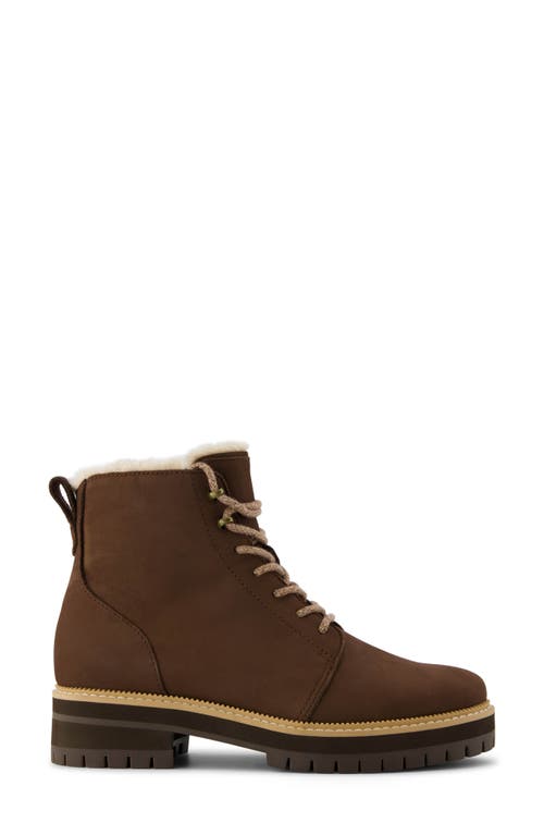 Shop Toms Wylder Boot In Dark Brown