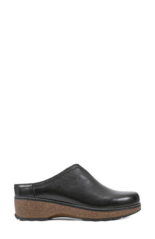 Shop Earth ® Kolia Clog In Black Smooth