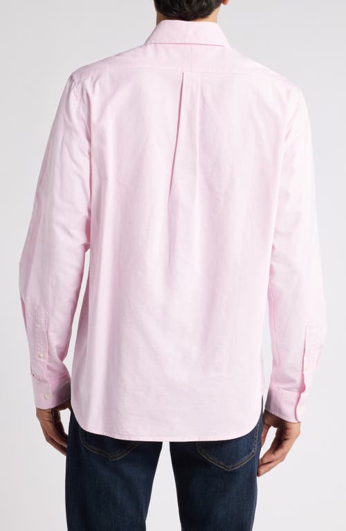 Shop Schott Nyc Button-down Oxford Shirt In Pink