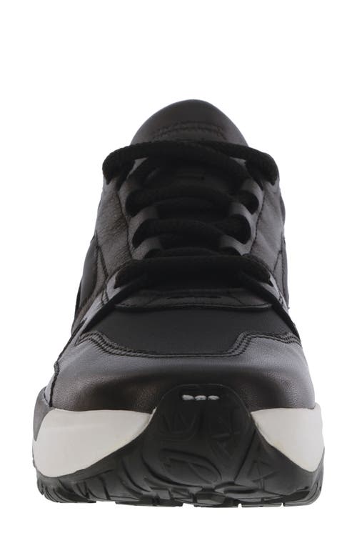 Shop Sas Low Country-x Sneaker In Monochrome