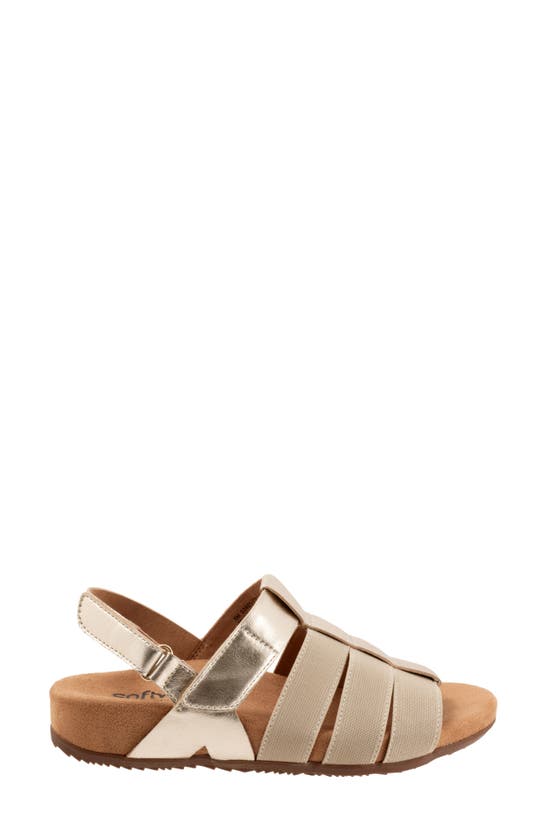 Shop Softwalk ® Burnaby Slingback Sandal In Champagne