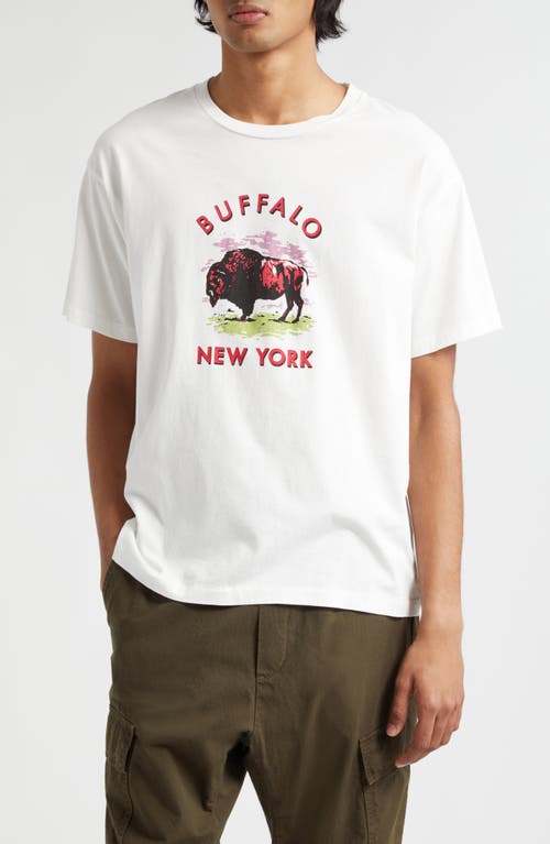 Buffalo Cotton Graphic T-Shirt in Cream