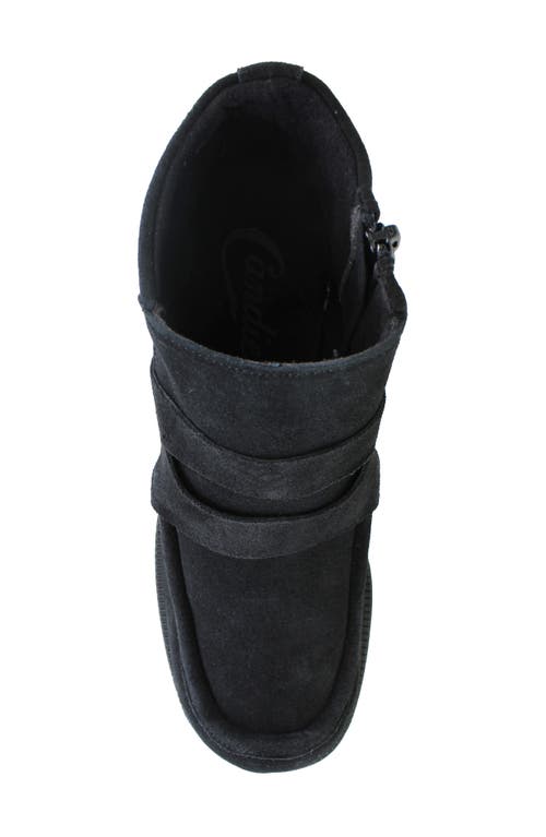 Ziginy Bertina Water Resistant Platform Bootie In Black Suede