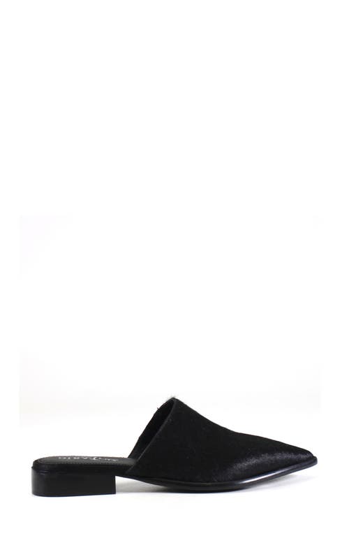 Shop Diba True High Up Calf Hair Mule In Black/calf Hair