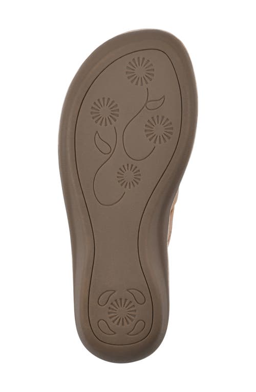 Shop Cliffs By White Mountain Cassia Flower Flip Flop In Tan/smooth