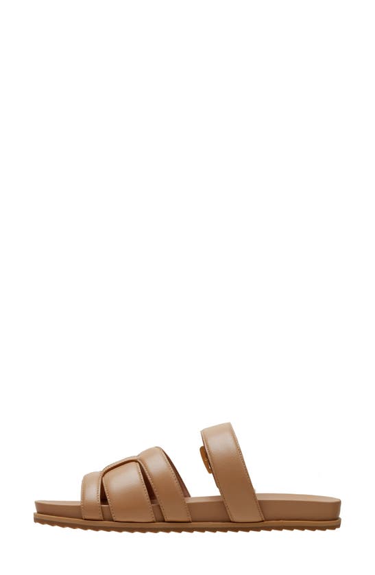 Shop Linea Paolo Rosalie Sandal In Desert