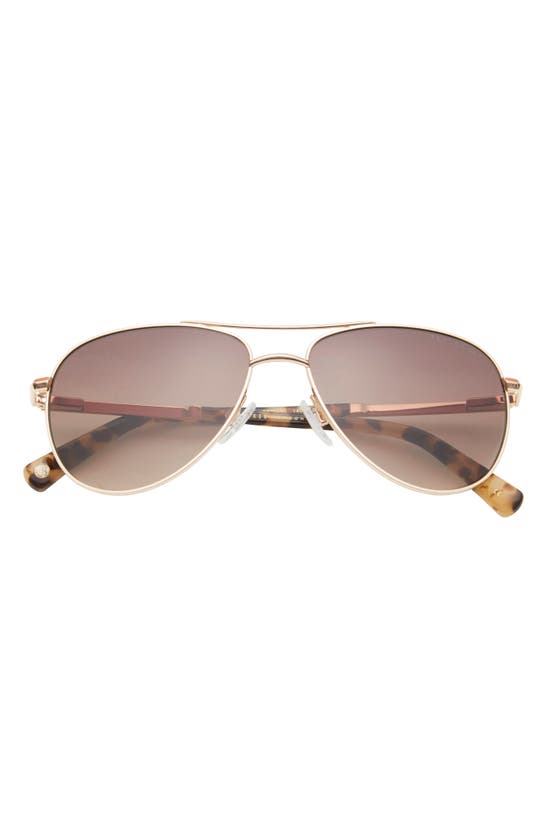 Ted Baker Aviator Sunglasses In Gold