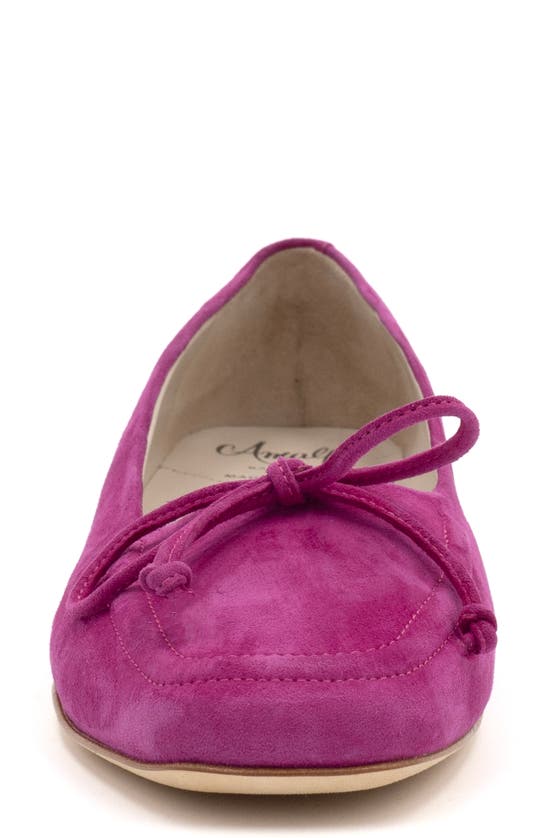 Shop Amalfi By Rangoni Geronimo Flat In Baton Rouge - Matching Bow