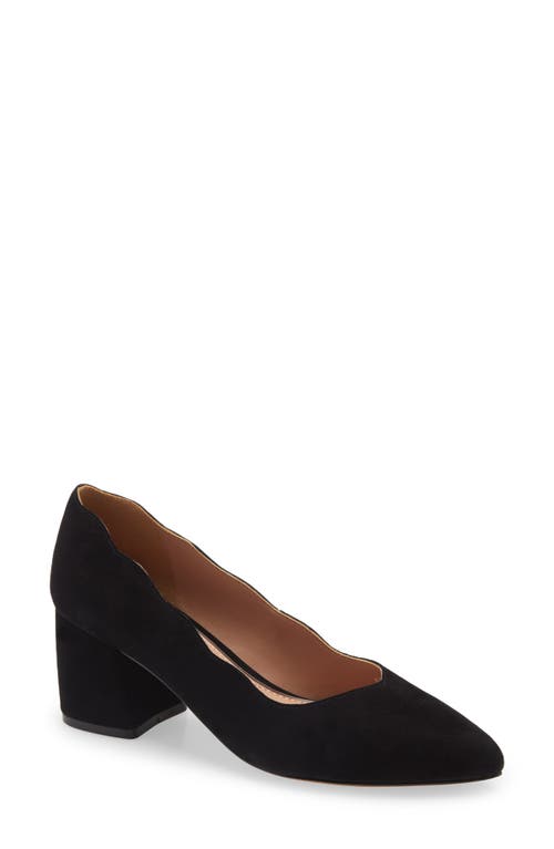 Linea Paolo Briana Pointed Toe Pump in Black Suede