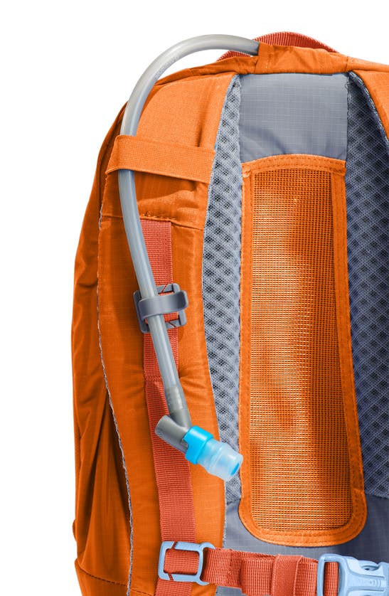 Hydro Flask Down Shift Hydration Pack In Bronze