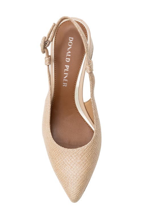 Shop Donald Pliner Song Slingback Pointed Toe Pump In Sand