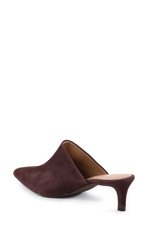 Shop Seychelles Obsession Pointed Toe Kitten Heel Mule In Dark Brown Suede