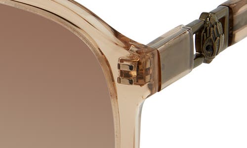 Kurt Geiger London 59mm Aviator Gradient Sunglasses In Sand/burgundy
