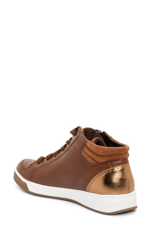 Shop Ara Rei Sneaker In Brown