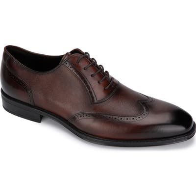 Kenneth Cole New York Micah Wingtip- Brown