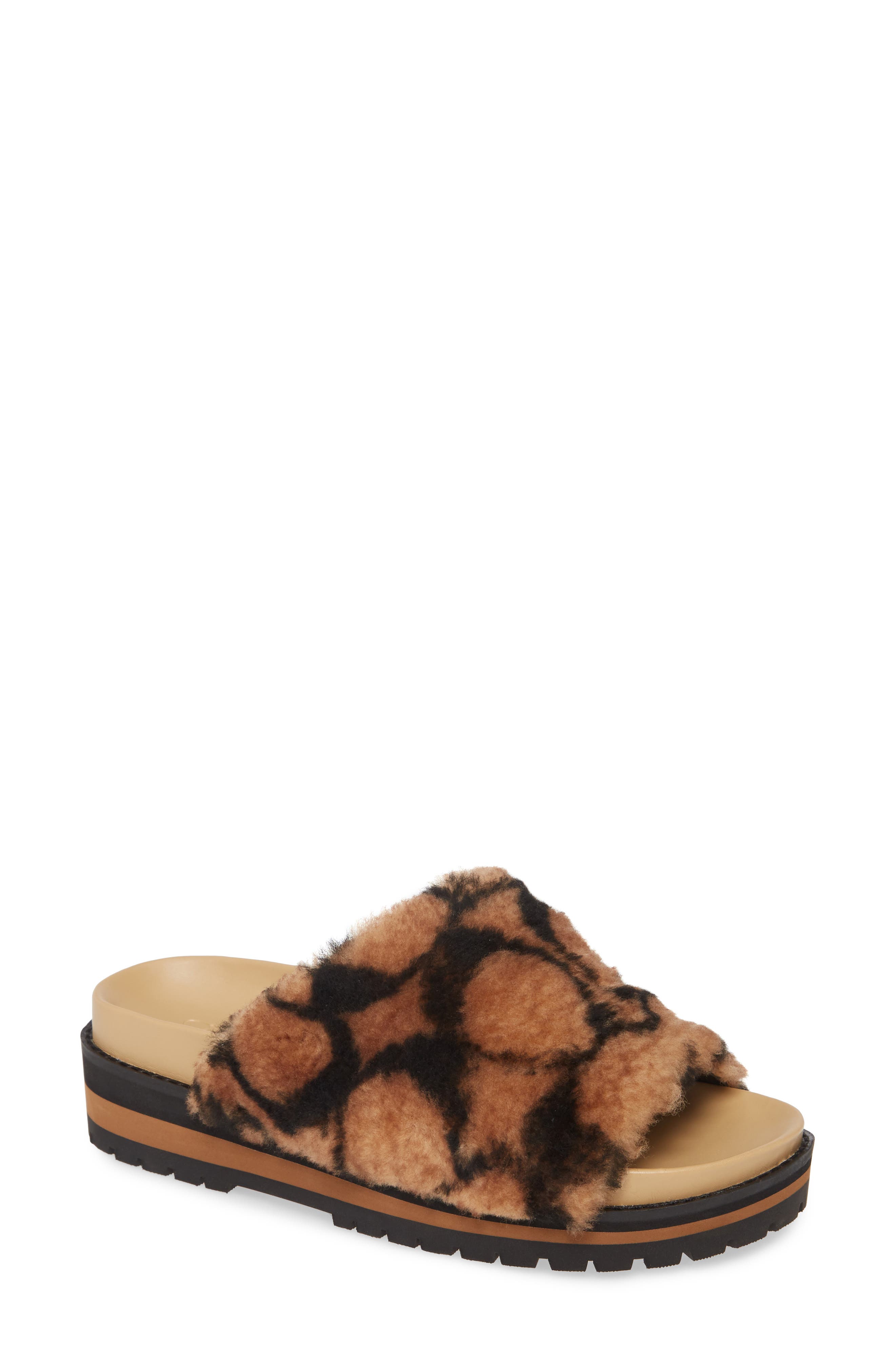 kloe slide coach