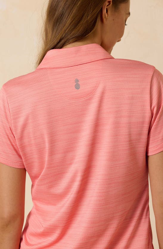 Shop Tommy Bahama Palm Coast Polo In Pure Coral