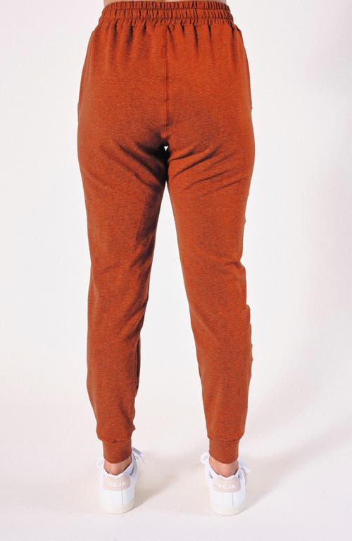 Poplinen Plus Agnes Organic Cotton + Tencel Jogger Pant In Rust