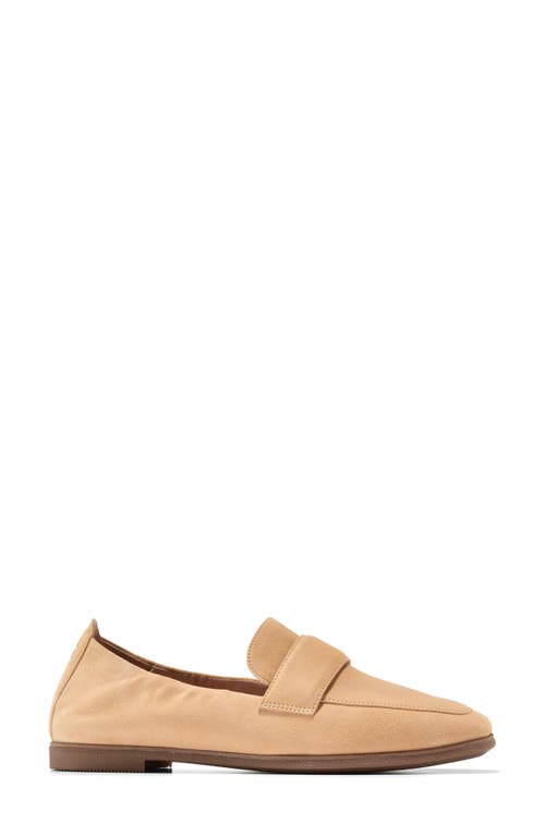 Shop Cole Haan Trinnie Loafer In Buck Wheat