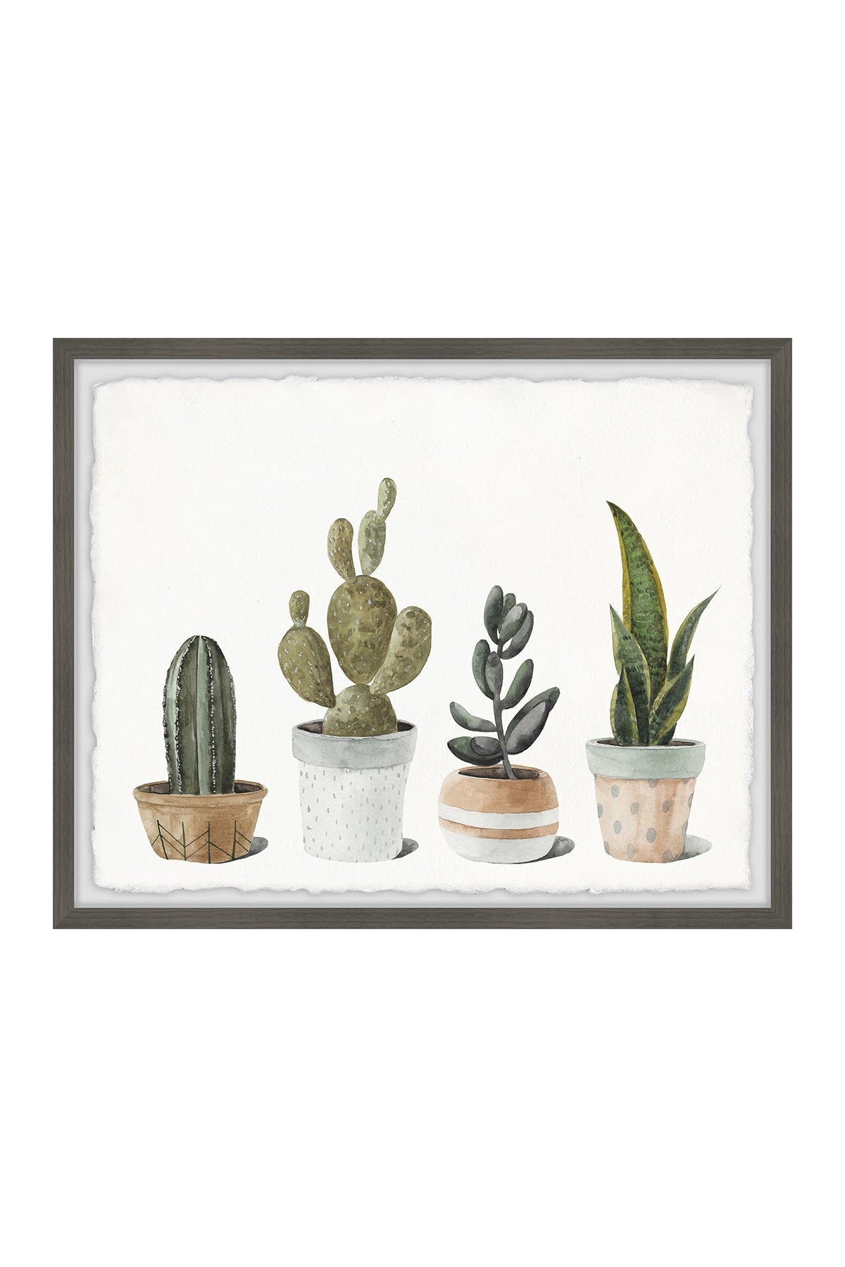 Marmont Hill Inc 5 Plants Framed Wall Art In Green White Brown Blue At Nordstrom Rack Modesens