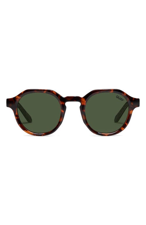 Another Round 48mm Polarized Round Sunglasses in Tortoise /Green Polarized