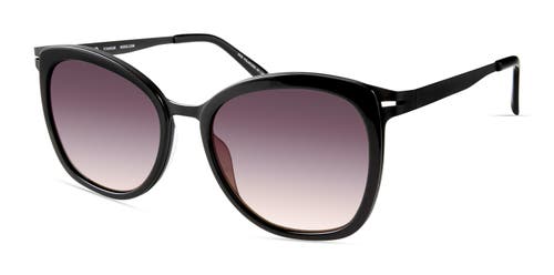 Modo 455 Sunglasses In Black