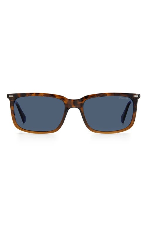 55mm Polarized Rectangular Sunglasses in Havana Brwn /Blue Polarized