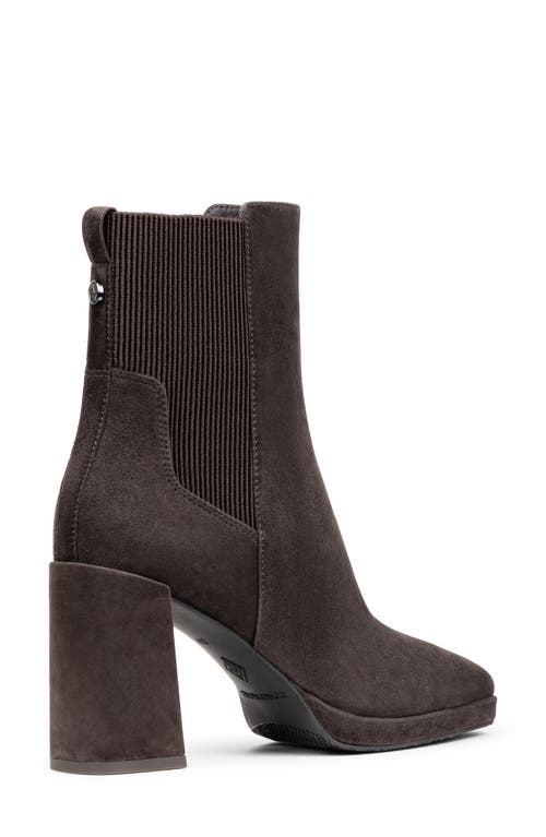 Shop Donald Pliner Rosemary Platform Bootie In Dark Brown