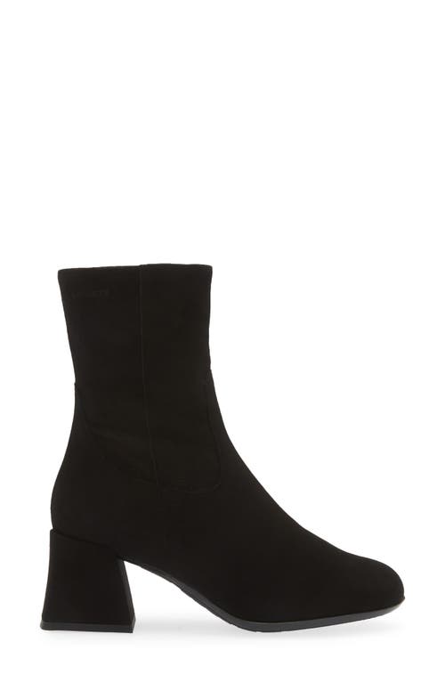 Wonders Block Heel Bootie In Black Suede
