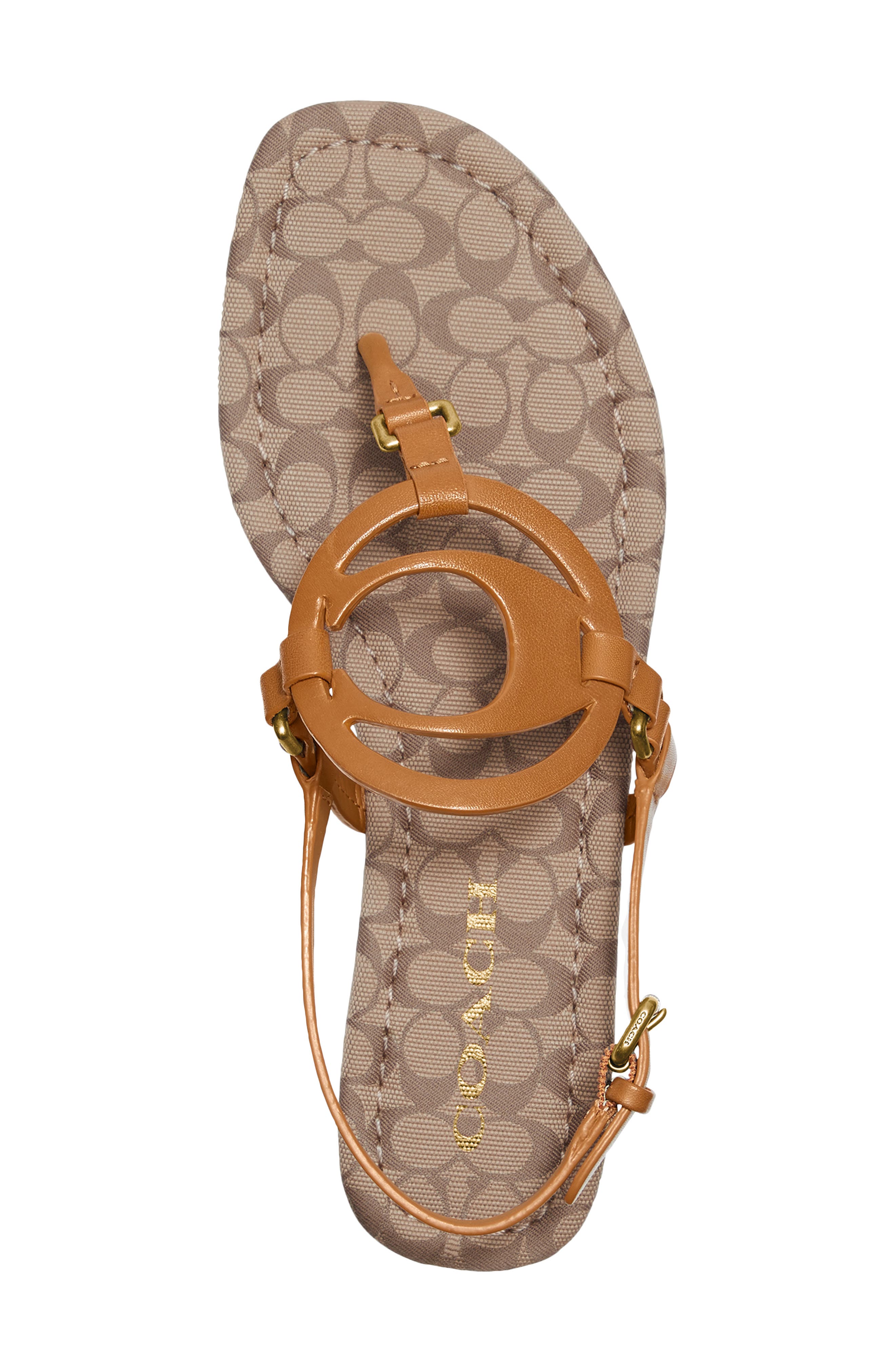 coach jeri leather logo thong sandals