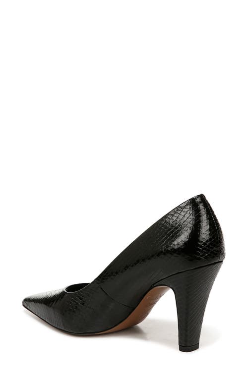 SARTO BY FRANCO SARTO SARTO BY FRANCO SARTO SAGE POINTED TOE PUMP 