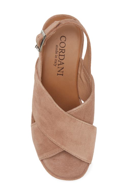 Shop Cordani Joanna Slingback Platform Wedge Sandal In Coccio