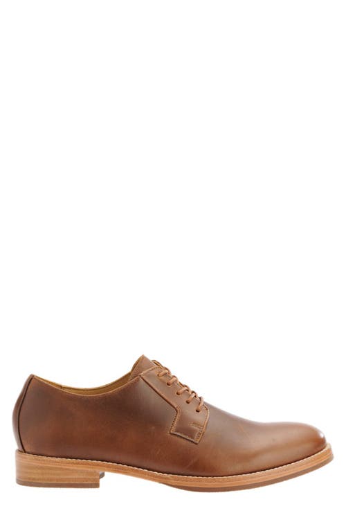 Shop Nisolo Rey Everyday Derby In Brown