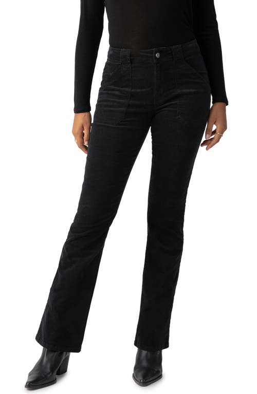 Sanctuary Hayden High Waist Velveteen Bootcut Pants in Black 