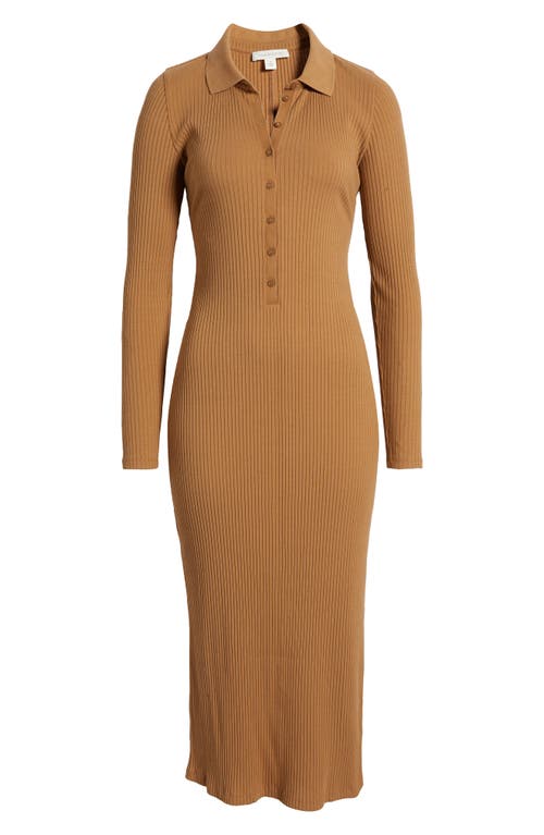 Treasure & Bond Long Sleeve Cotton Blend Rib Sweater Dress In Brown Bear