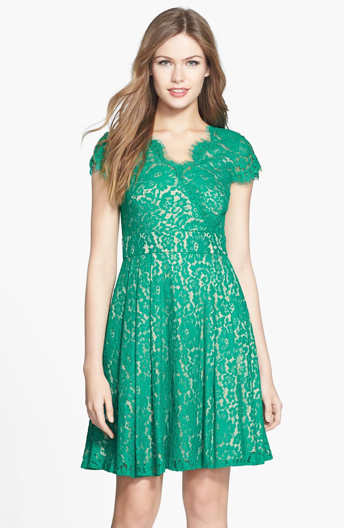 eliza j short sleeve fit & flare lace dress