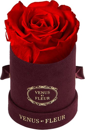 Venus et Fleur Classic Le Mini Round Eternity Rose in Pink at Nordstrom