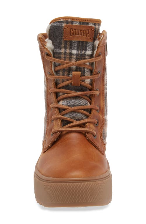 Cougar Apex Lace-up Boot In Butternut