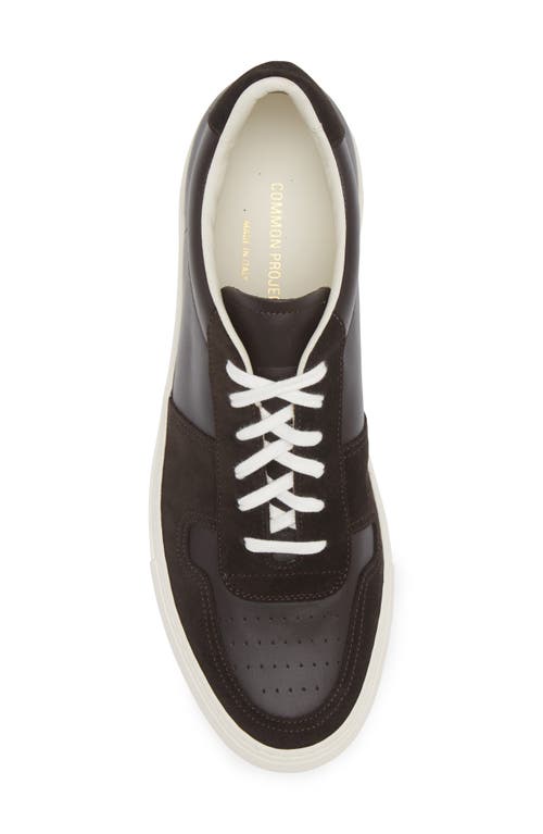 Shop Common Projects Bball Duo Sneaker In Coffee