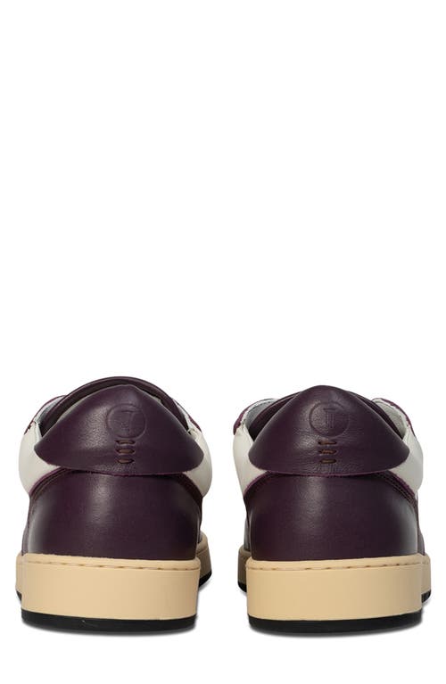 Shop Collegium Pillar Destroyer Sneaker In White/purple