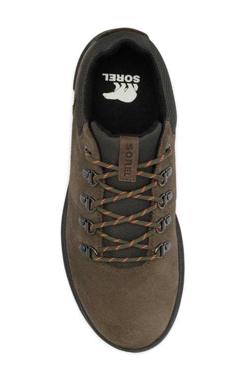 Shop Sorel Mac Hill™ Lite Low Profile Waterproof Hiker Shoe In Major/jet