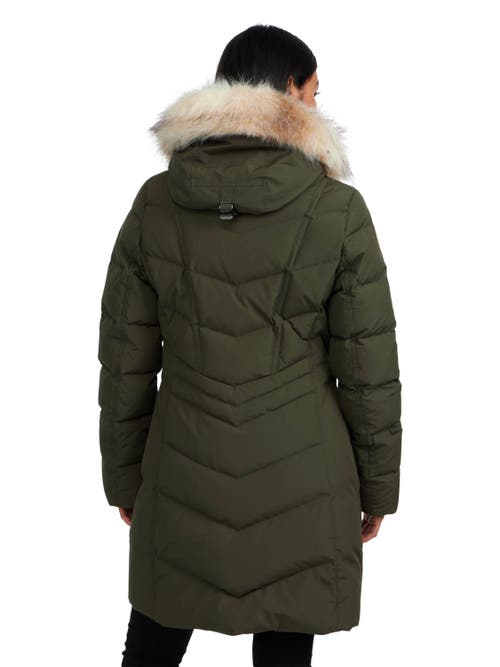 Pajar Women's January Down Chevron Puffer With Detachable Hood Fur In Military/crystal