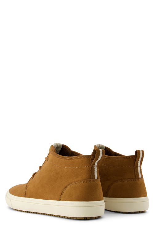 Shop Toms Carlo Mid Terrain Sneaker In Brown