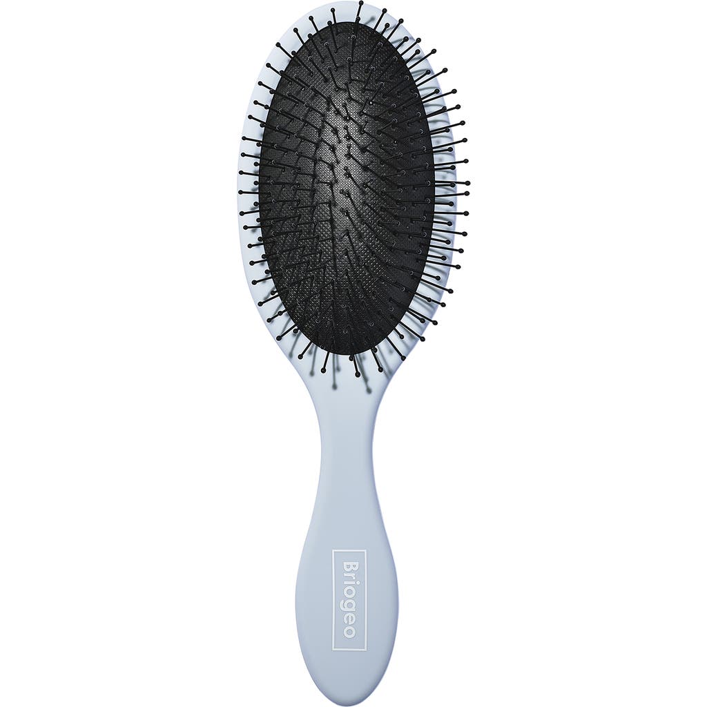 Briogeo Wet Detangling Brush In No Color