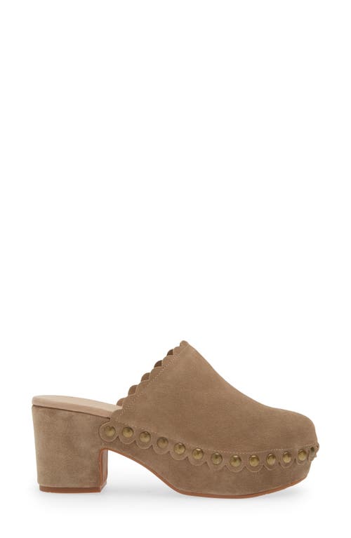 Shop Chocolat Blu Gemini Platform Clog In Taupe Suede