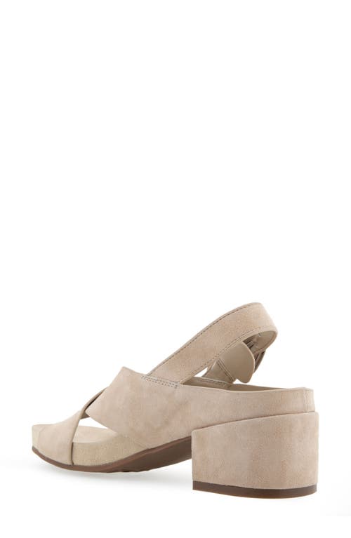 Aerosoles Women's Chrystie Buckle Block Heel Sandals In Pale Khaki Suede