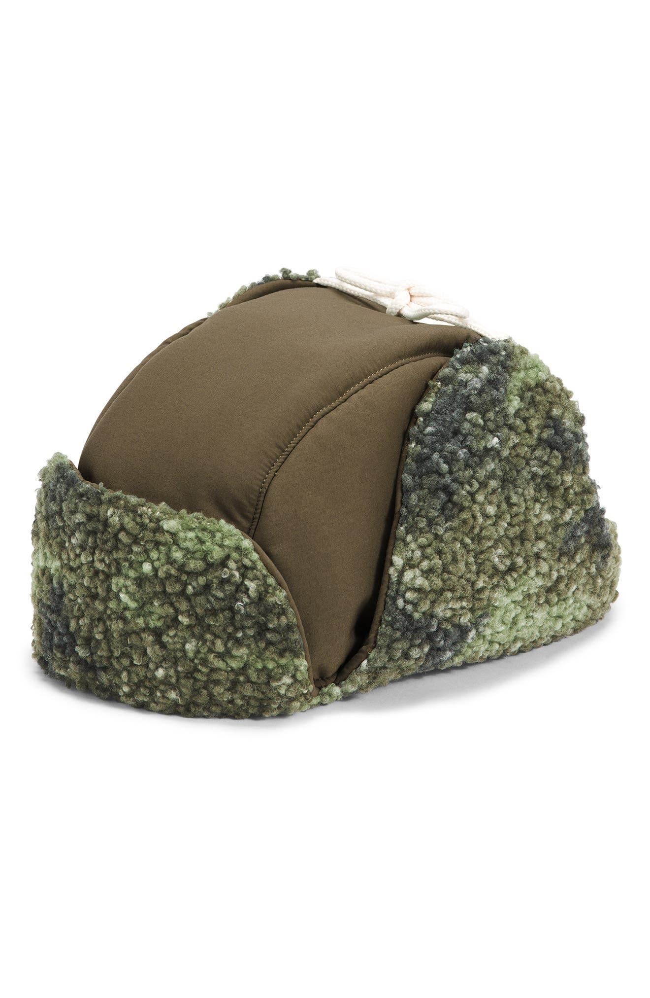 the north face trapper hat