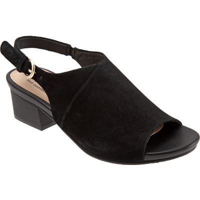 Softwalk Pomona Sandal- Black
