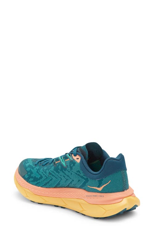 Hoka Tecton X Running Shoe In Deep Teal/water Garden